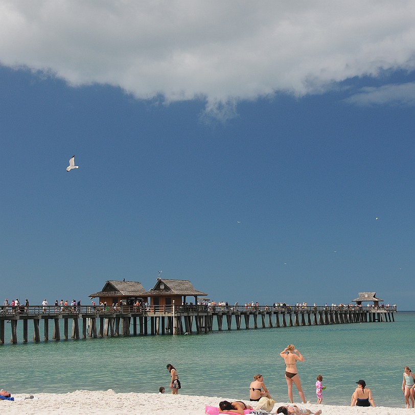 DSC_8285 Naples, Pier & Beach, Golf von Mexico, Florida, USA